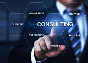 Fundamentals of Business Consultancy